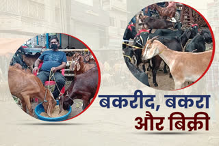 corona is dampening goat sales in bakrid in ranchi