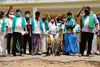 Farmers siege RDO office with goat demands to open market
