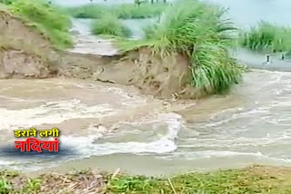 ring dam broken due to water level increase in gandak river in motihari