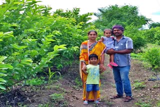 ಭಾರತೀಯ ಕೃಷಿಯಲ್ಲಿ ತೊಡಗಿದ ಮಾದರಿ ದಂಪತಿ