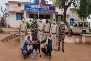 Two accused of stealing goat arrested in Fingeshwar gariyaband