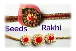 விதை ராக்கி, Seed rakhis