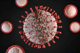 coronavirus case in jharkhand