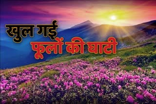 uttarakhand-valley-of-flowers-opened-for-tourist