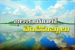 beautiful picture In the Musi project reservoir,  Nalgonda-Suryapeta border