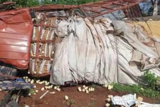 driver-cleaner-injured-by-overturning-truck-full-of-chickens-in-agar