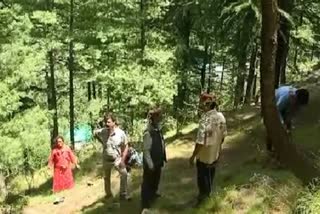 BJYM  plantation in Kullu