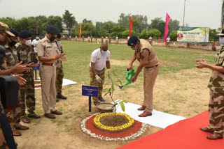 Tree plantation program organized by CISF at Faridabad DMRC Campus