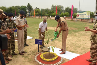 CISF jawans planted saplings in delhi