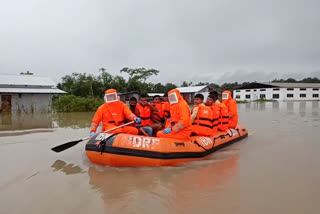 Flood Situation Still Same in Assam, NDRF Rescue Operation going on