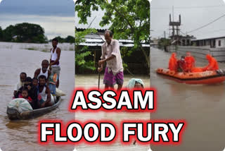 Flood waters recede in Assam's Sonitpur district; 21 others still inundated