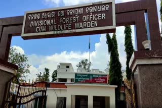 Workers who dug holes in afforestation were found to be unpaid in kendujhar