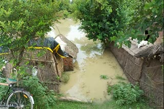 घाघरा में बाढ़ से 28 गांव प्रभावित