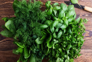 Green Leafy Vegetables