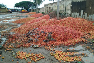 Dropped Price: Tomatoes found thrown Everywhere In The Market