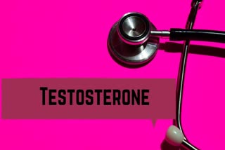 Male sex hormone, testosterone