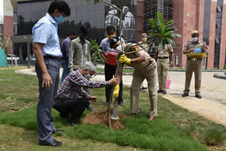 Plantation campaign started in Delhi Police Headquarters
