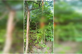 woman dead body found in ramgarh, woman committed suicide in ramgarh, crime news of ramgarh, रामगढ़ में मिला महिला का शव, रामगढ़ में महिला ने की खुदकुशी, रामगढ़ में अपराध