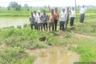 Farmers demanding canal repair