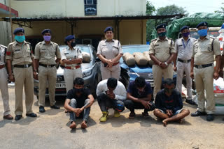 Hemp of 20 lakhs seized from three vehicles at maha samund