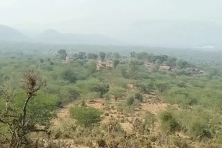 Forest Department Land Occupied, Alwar Forest Department News