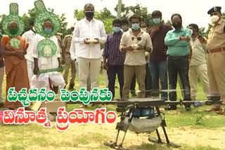 minister harish rao started seed balls programme for increase forests in joint medak district