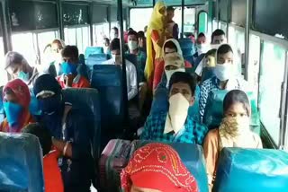 negligence of social distancing in haryana roadways bus on rewari depot