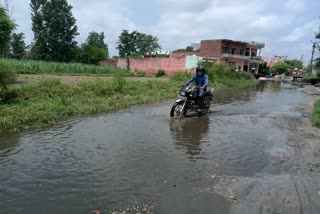 Waterlogging