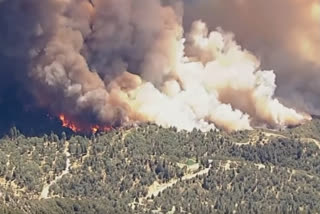 California wildfire, ஆப்பிள் தீ, apple fire