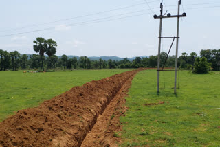 farm of bijapur