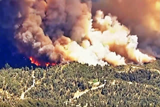 Firefighters battle to contain California wildfire