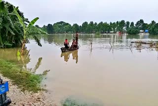 Flood in motihari