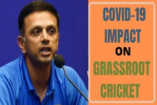 Director of Cricket Operations Rahul Dravid