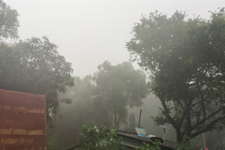 heavy rain in biligiri rangana hill