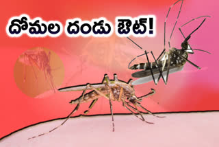 kill Mosquito with Neem Leaves and other ayurvedic techniques