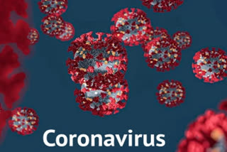 mandi coronavirus update