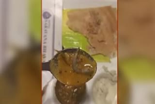 dead lizard found in sambhar in connaught place delhi