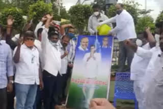 ysrcp celebrations