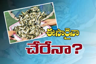 fish release into water in telanagana from August 5