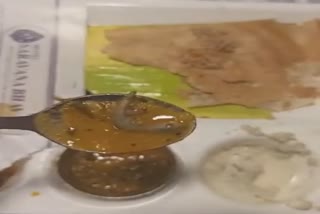 dead lijard found in sambhar in resturent in Connaught Place