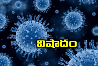 coronavirus