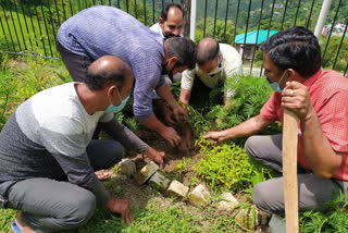 Seva Ashram sangathan organised Tree Plantation in Pali