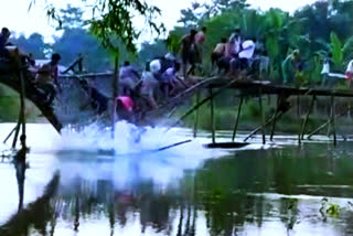 Temporary bamboo bridge collapses in Majuli