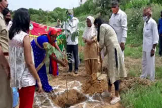plantation on occasion of raksha bandhan 2020 in palwal