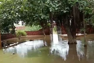 महादेव मंदिर में बरसात का भरा पानी, Rain water filled in Mahadev temple