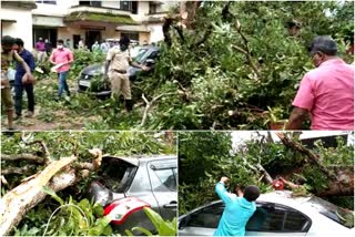 Strong winds in Alappuzha  Alappuzha news  ആലപ്പുഴ വാര്‍ത്തകള്‍  കാലാവസ്ഥ  കാറ്റ്  ആലപ്പുഴയില്‍ കാറ്റ്