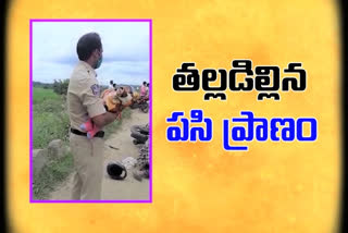 Accident without mother to infant child at nizamsagar road kamareddy