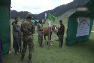 Indian Army organised an Veterinary Camp in Kupwara.