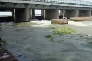 fire brigade save 3 minors drowning at yamuna near signature bridge at timarpur in delhi