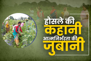 Self-sufficient farming of women of Kumhariya village of Ranchi